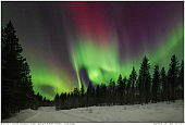 Northern Lights - Nothern Lights above Norbotten