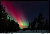 Northern Light - Northern Lights in Varjistzräsk