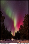 Northern Lights - Northern Lights near Arvidsjaur