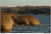 Schlei - Schlei