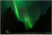 Northern Lights - Northern Lights in Swedish Lapland near Jokkmokk
